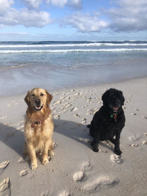 The Bothy Lancelin Family Retreat - Accommodation Yamba 32