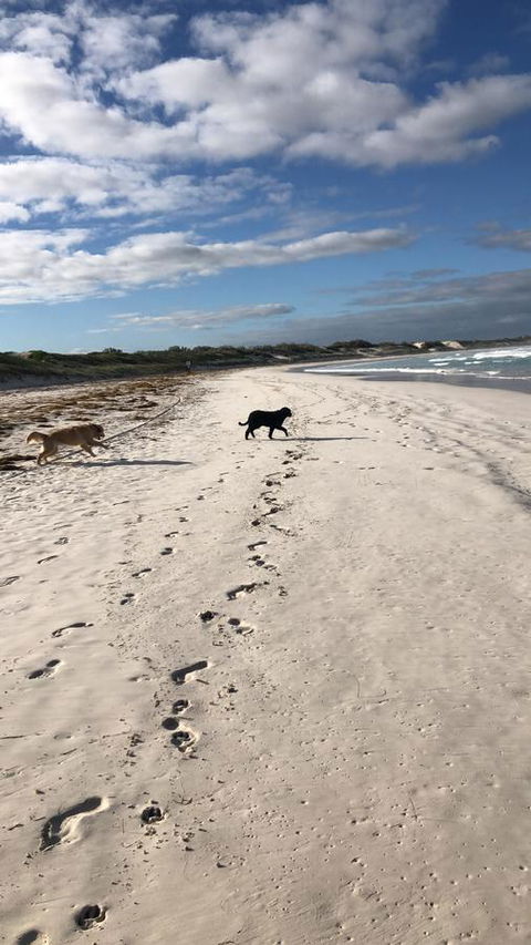The Bothy Lancelin Family Retreat - Accommodation Yamba 30