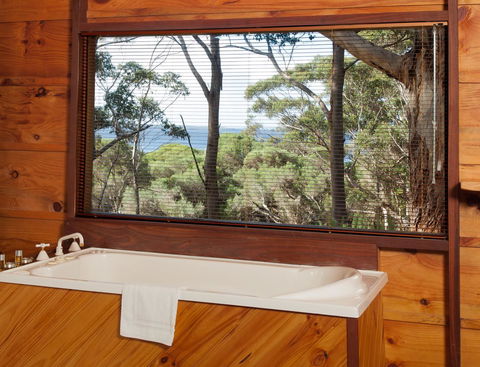 Pelicans At Denmark - Accommodation Yamba 10