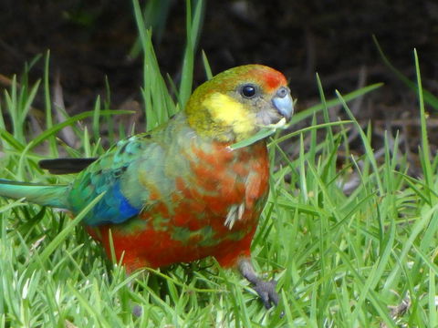 Big Brook Retreat - Accommodation Yamba 13
