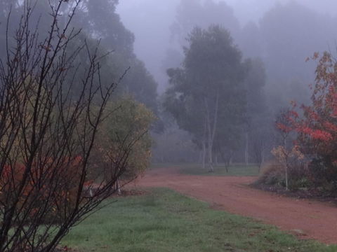Big Brook Retreat - Accommodation Yamba 14