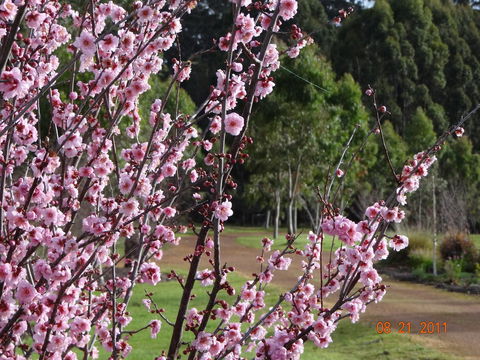 Big Brook Retreat - Accommodation Yamba 9