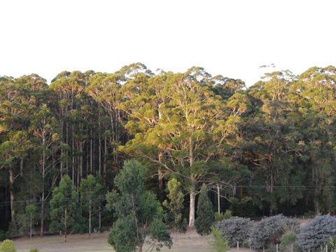 Big Brook Retreat - Accommodation Yamba 11