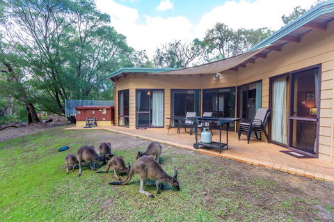 Yelverton Brook Conservation Sanctuary - Accommodation Yamba 18