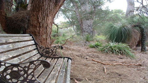 Yelverton Brook Conservation Sanctuary - Accommodation Yamba 42