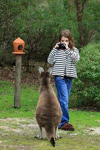 Yelverton Brook Conservation Sanctuary - Accommodation Yamba 39