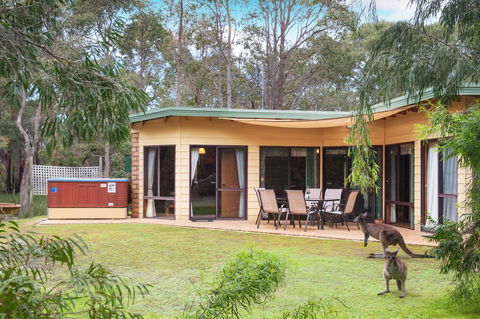 Yelverton Brook Conservation Sanctuary - Accommodation Yamba 20