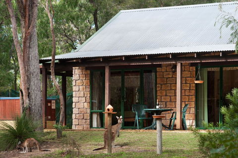 Yelverton Brook Conservation Sanctuary - Accommodation Yamba 36