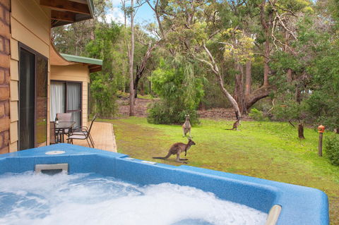 Yelverton Brook Conservation Sanctuary - Accommodation Yamba 9