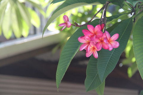 Beach House On Fox - Accommodation Yamba 15