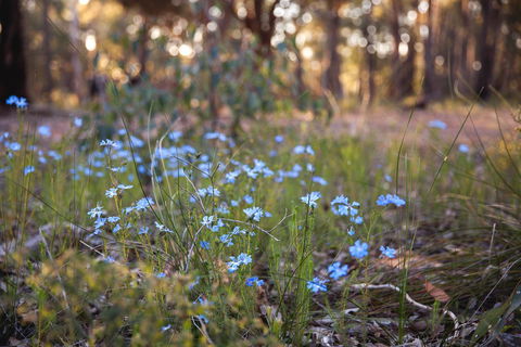 Amaroo Retreat & Spa - Accommodation Yamba 15