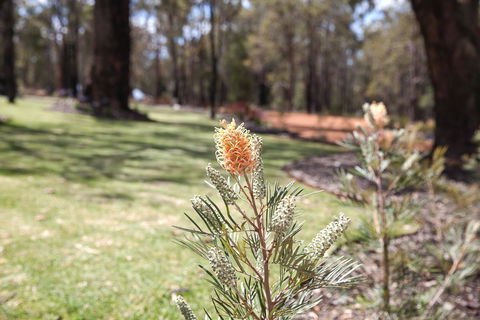 Amaroo Retreat & Spa - Accommodation Yamba 19