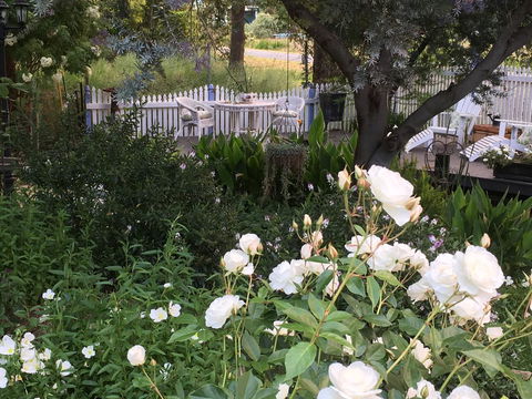 Applegate Lane Chalet - Accommodation Yamba 22