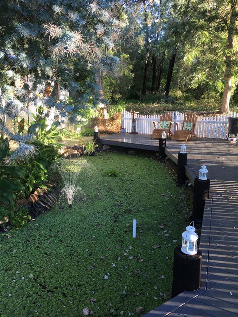 Applegate Lane Chalet - Accommodation Yamba 23