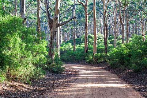 Margaret River Retreat - Accommodation Yamba 20