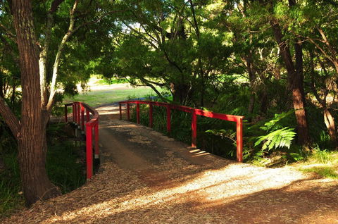 Waterfall Cottages - Accommodation Yamba 17