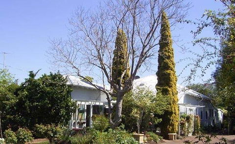 Jacaranda Guest House - Accommodation Yamba 37