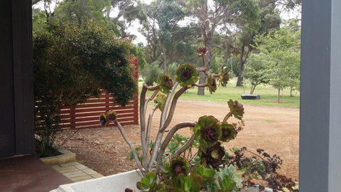 Chalets On Frenchman - Accommodation Yamba 15