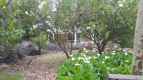 Two Sisters Chalets - Accommodation Yamba 15