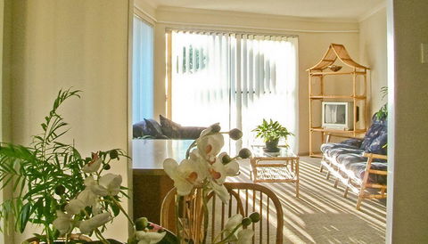 Scarborough & Absolutely Beachfront - Accommodation Yamba 15