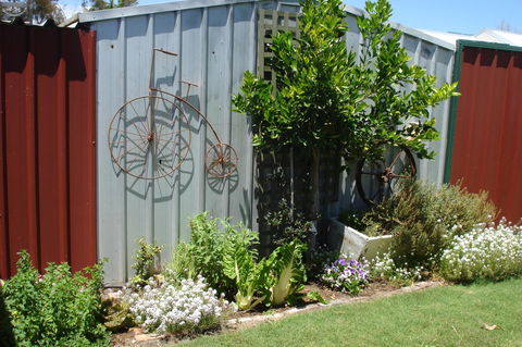 Bluebird Cottage - Accommodation Yamba 26