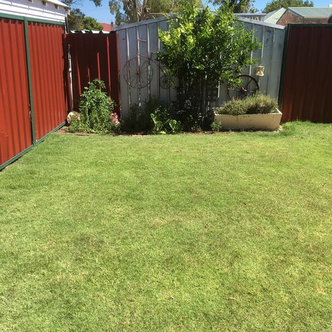 Bluebird Cottage - Accommodation Yamba 29