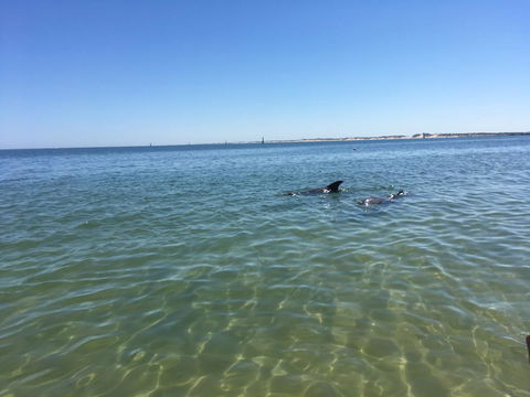 Bluebird Cottage - Accommodation Yamba 39
