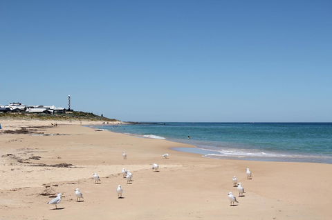 Bluebird Cottage - Accommodation Yamba 40