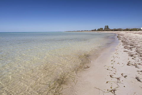Boardwalk - Accommodation Yamba 24
