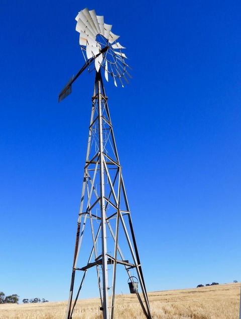 Daisy Cottage - Accommodation Yamba 3