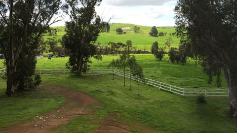 Daisy Cottage - Accommodation Yamba 22