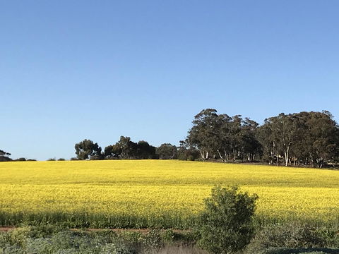 Daisy Cottage - Accommodation Yamba 6