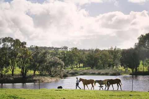 Daisy Cottage - Accommodation Yamba 28