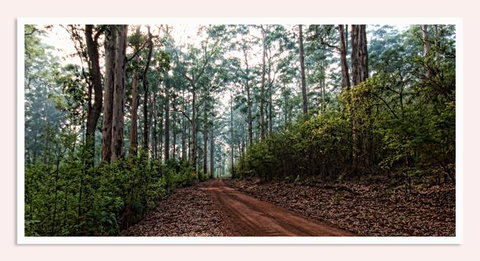 Oak Tree Barn Bridgetown - Accommodation Yamba 14