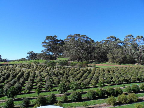 Tennessee Hill Chalets - Accommodation Yamba 15