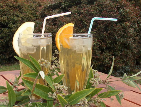 Tennessee Hill Chalets - Accommodation Yamba 13