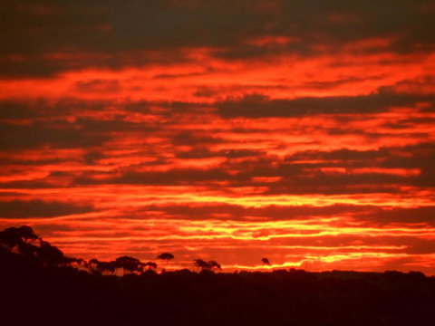 Tennessee Hill Chalets - Accommodation Yamba 3