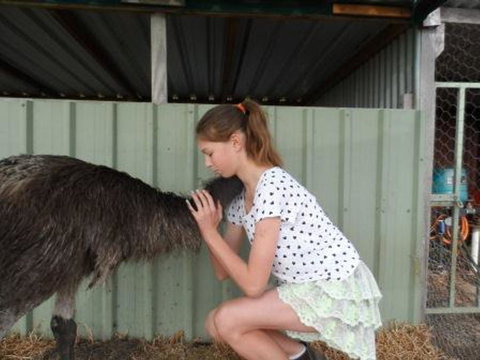 Tennessee Hill Chalets - Accommodation Yamba 17