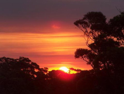 Tennessee Hill Chalets - Accommodation Yamba 9