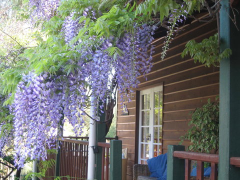 RoseMoore Bed & Breakfast - Accommodation Yamba 11