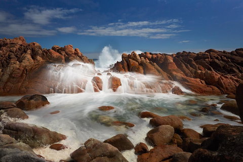 Injidup Spa Retreat - Accommodation Yamba 43