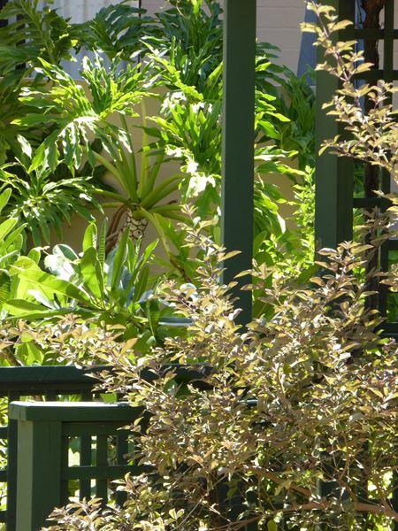 Kalbarri Beach Resort - Accommodation Yamba 32