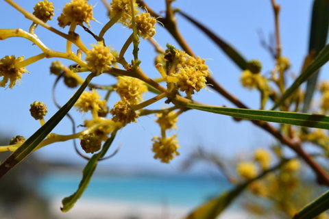 Eagle Bay House - Accommodation Yamba 28