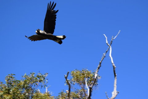 Eagle Bay House - Accommodation Yamba 8