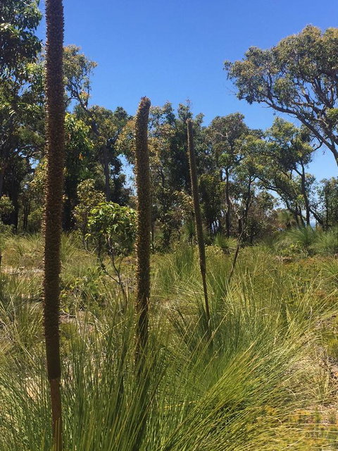 Eagle Bay House - Accommodation Yamba 15