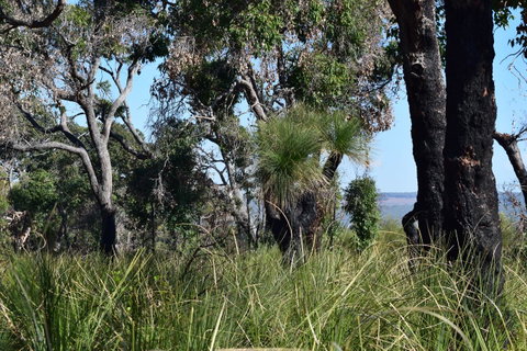 Eagle Bay House - Accommodation Yamba 32