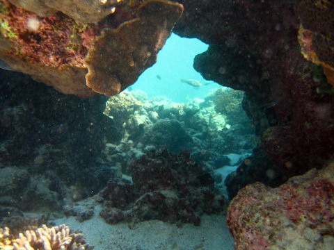 Ningaloo Coral Bay â€“ Bayview - Accommodation Yamba 4
