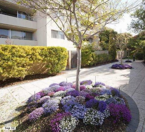 Retro Central Claremont Oasis - Accommodation Yamba 0