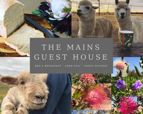 The Mains Guest House 2 Bedroom Farm Stay - Accommodation Yamba 0