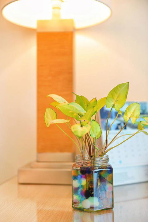 Bunbury Hotel Koombana Bay - Accommodation Yamba 7